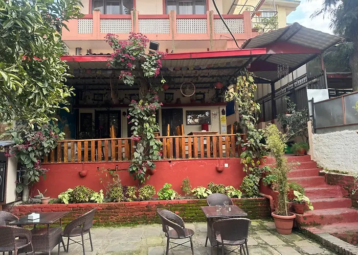 Pet Friendly hotel: Birds Nest Hostel